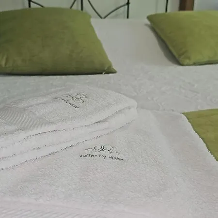 The Butterfly House_ 아파트 *