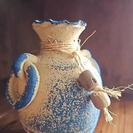 The Butterfly House_ Ponta Delgada