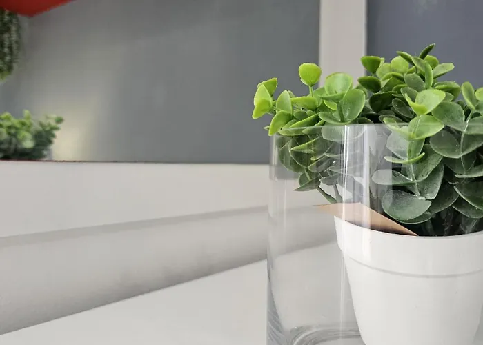 The Butterfly House_ Apartment Ponta Delgada