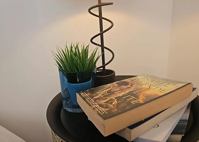 The Butterfly House_ Apartment Ponta Delgada