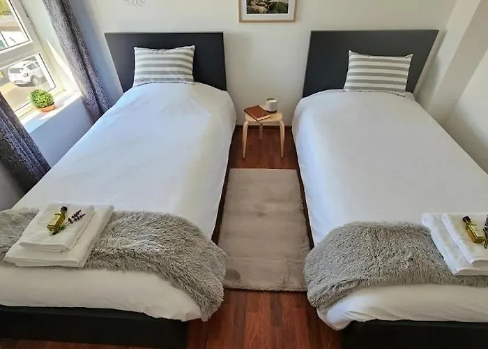 The Butterfly House_ Apartment Ponta Delgada