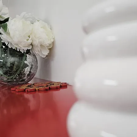 The Butterfly House_ * Ponta Delgada (Sao Miguel)