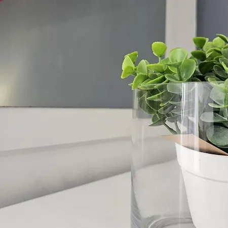 Apartment The Butterfly House_ *