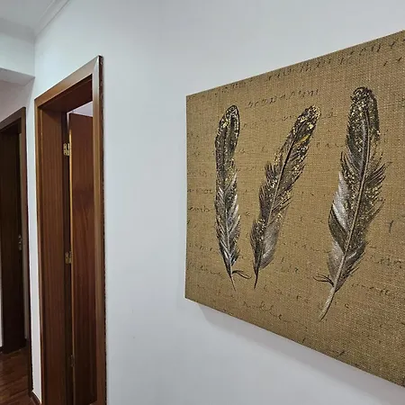 The Butterfly House_ Ponta Delgada (Sao Miguel)