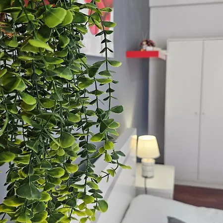 Apartment The Butterfly House_ *